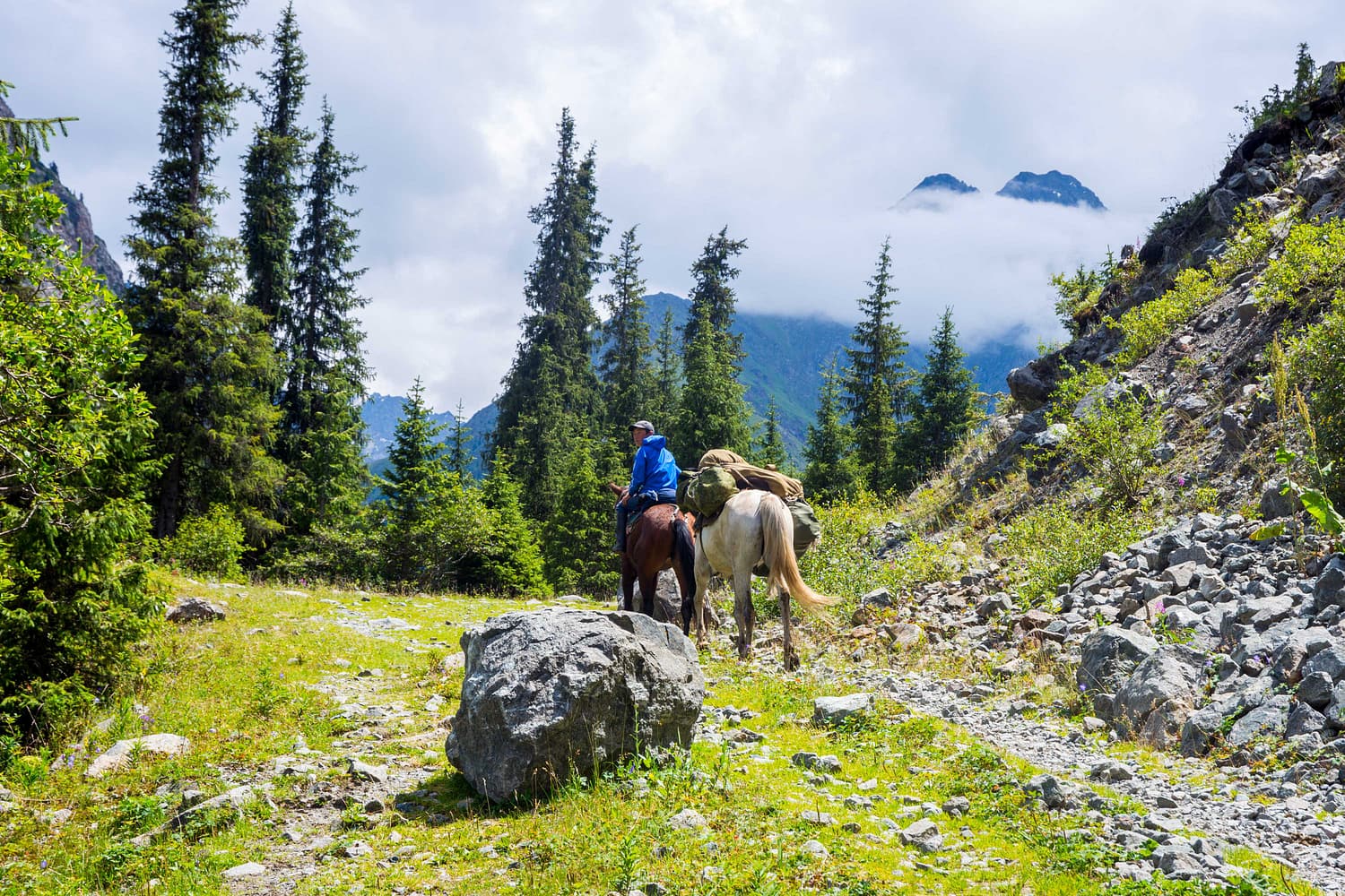 Horse tours in Georgia Mountains, Georgia country