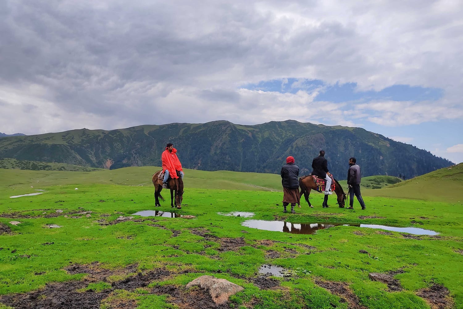Horse tours in mountains