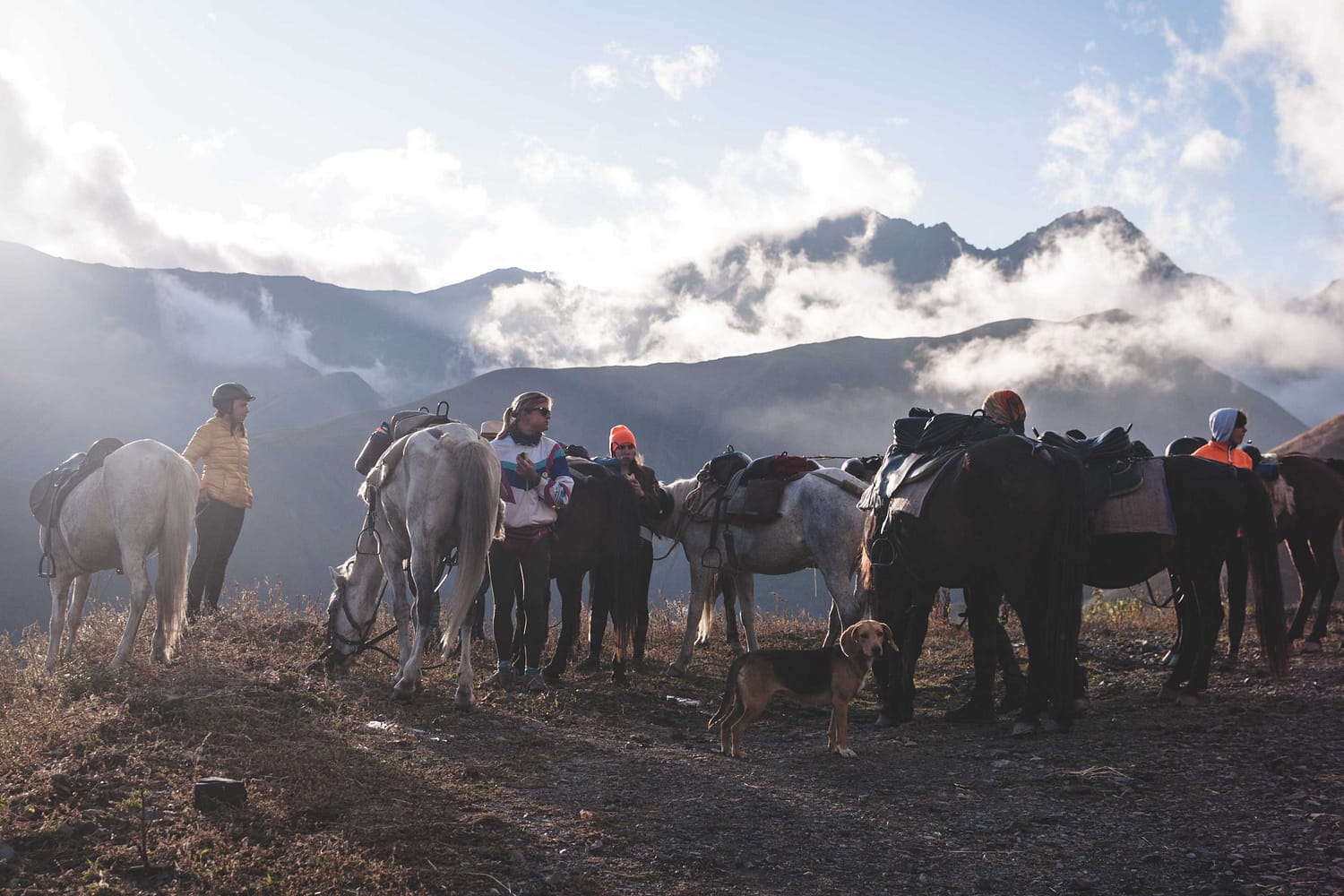 Horse riding tours in Vashlovani National Park