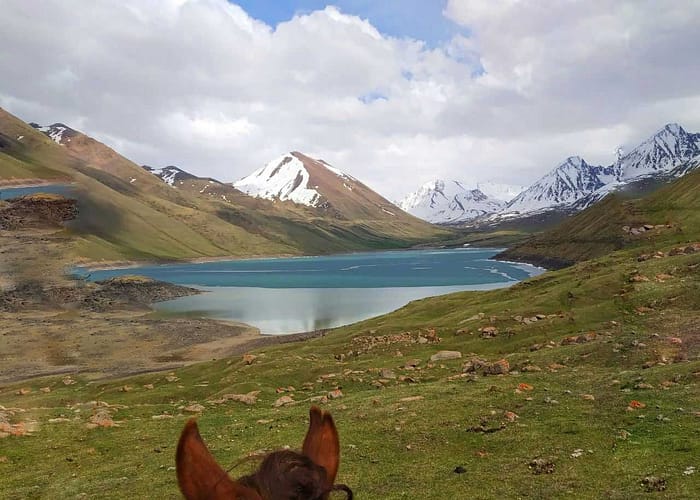 The wings of nomads - horse riding adventure in Kyrgyzstan